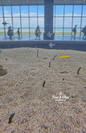 ▲▼台中海洋館。（圖／部落客NINI AND BLUE 玩樂食記授權提供）