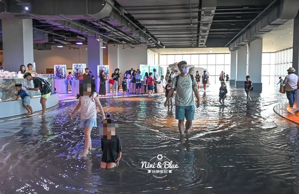 ▲▼台中海洋館。（圖／部落客NINI AND BLUE 玩樂食記授權提供）
