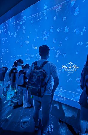 ▲▼台中海洋館。（圖／部落客NINI AND BLUE 玩樂食記授權提供）