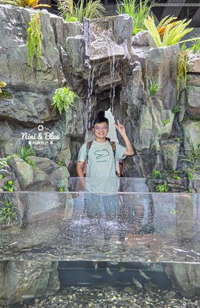 ▲▼台中海洋館。（圖／部落客NINI AND BLUE 玩樂食記授權提供）