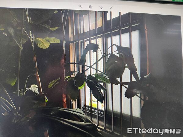 ▲林男將備用鑰匙放在窗邊，卻被劉男利用進入屋內行竊。（圖／記者陸運陞翻攝）