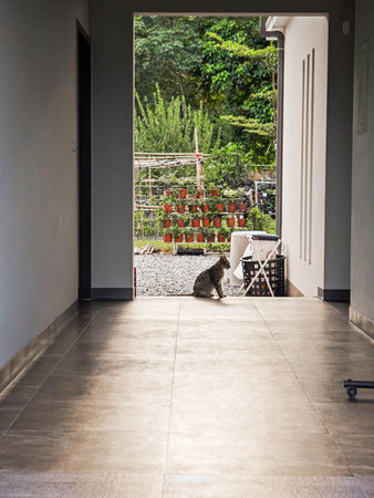 ▲▼離家出走民宿Simple Life。（圖／部落客胖貓咪的奇幻旅程授權提供）