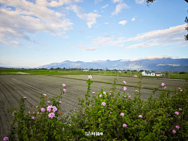 ▲▼離家出走民宿Simple Life。（圖／部落客胖貓咪的奇幻旅程授權提供）