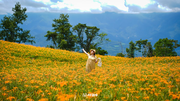 ▲▼離家出走民宿Simple Life。（圖／部落客胖貓咪的奇幻旅程授權提供）