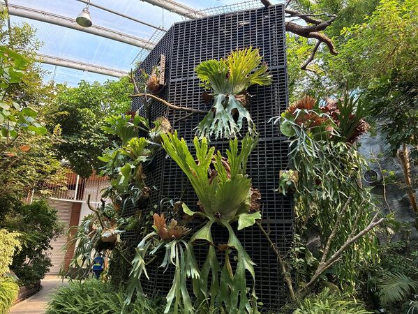 ▲台北典藏植物園。（圖／公園處提供）