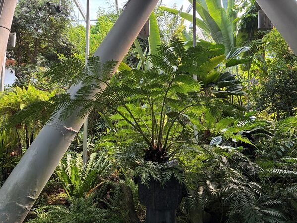 ▲台北典藏植物園。（圖／公園處提供）