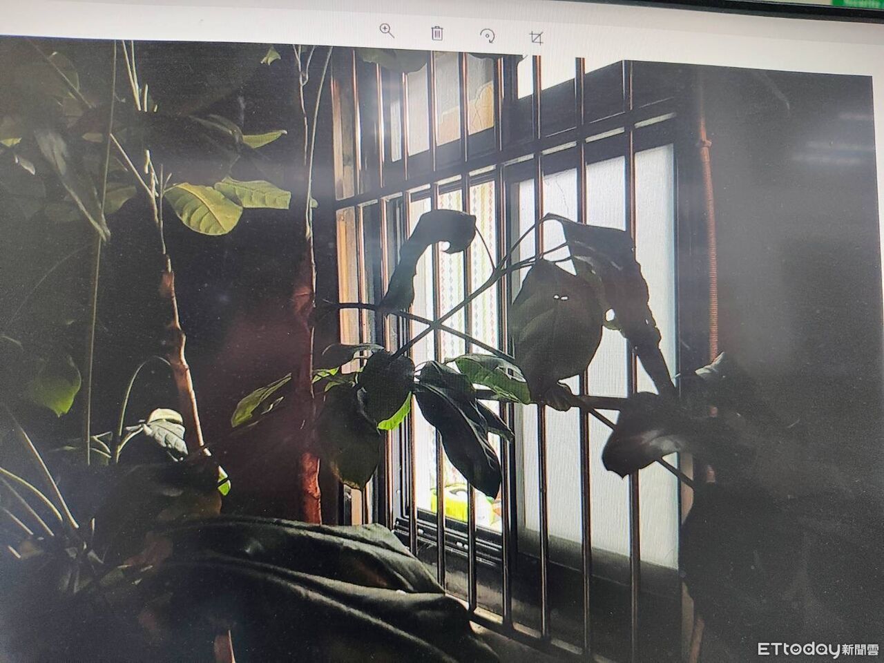 桃園騎自行車到鶯歌闖空門　發現備用鑰匙！偷走2.5萬紅包錢　