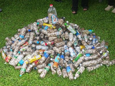 這縣市「撿菸蒂」能換現金！清潔人員爽賺4萬元