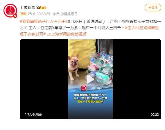 消息曝光後，不少網友調侃：『我家的狗還不如牠會賺錢！（圖／翻攝自微博， 上游新聞）