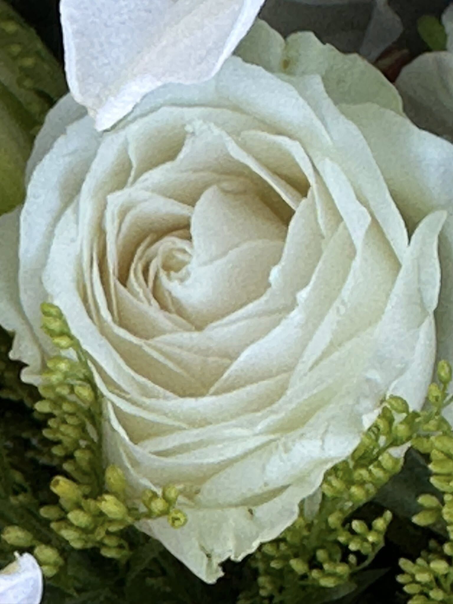 ▲▼楊偉中救女溺斃忌日逢七夕　前主播陳以真「發7顆愛心」。（圖／翻攝自Facebook／陳以真）