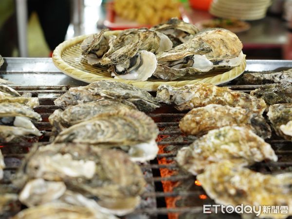 ▲▼  嘉義縣推出「海洋漁趣」親子一日遊  。（圖／嘉義縣政府提供）