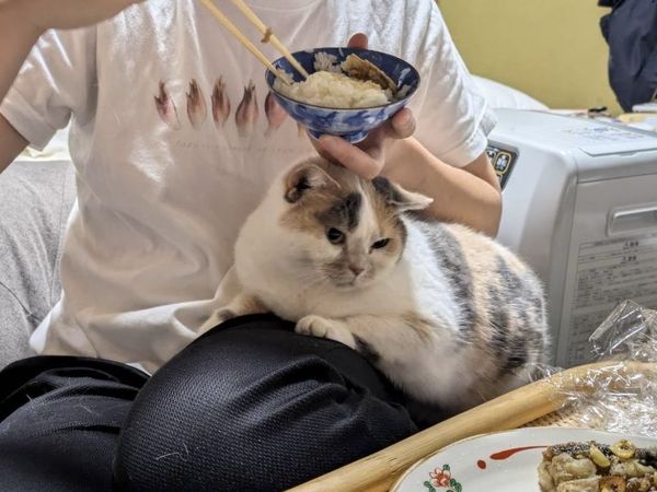 ▲。（翻攝自X／@sauntm）