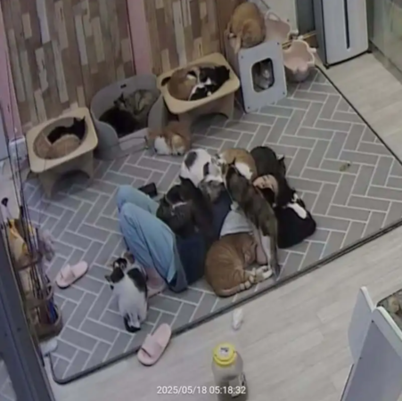 ▲▼             。（圖／）