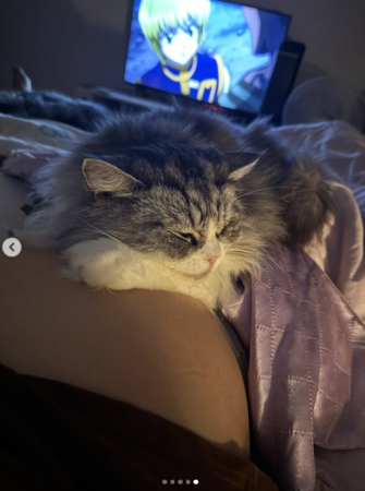 ▲▼亞亞。（圖／翻攝自Instagram／yayaaniki546）