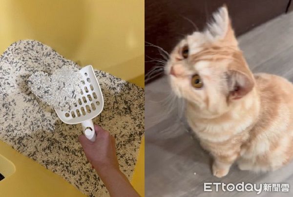 ▲。（圖／Threads@noah__12.11提供，請勿隨意翻拍，以免侵權。）