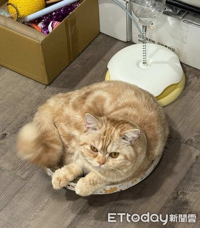 ▲。（圖／Threads@noah__12.11提供，請勿隨意翻拍，以免侵權。）