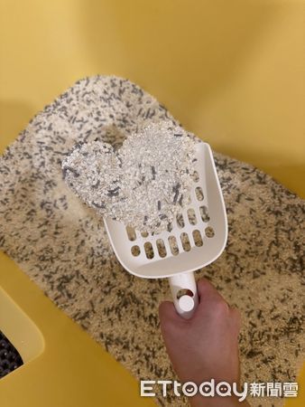 ▲。（圖／Threads@noah__12.11提供，請勿隨意翻拍，以免侵權。）