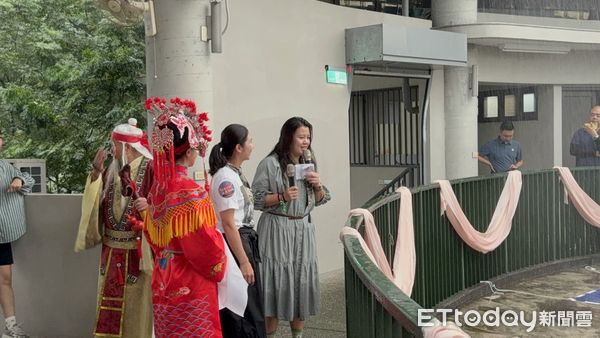 ▲▼  阿管處神木下婚禮穿雨衣冒雨搶繡球，見證對愛情的渴望及堅貞  。（圖／記者翁伊森攝）