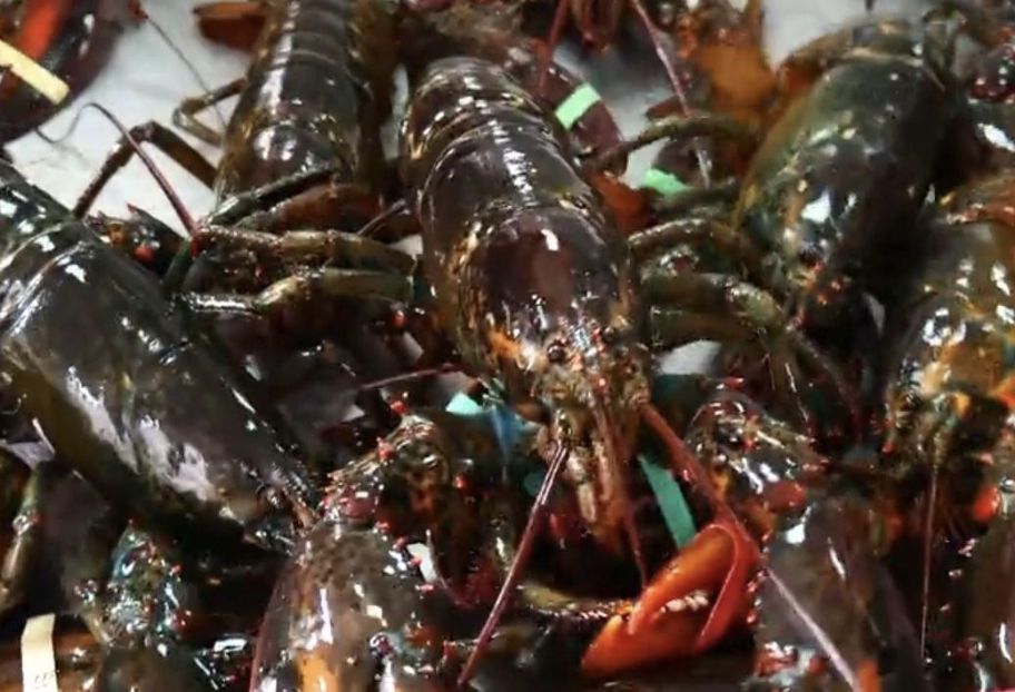 ▲河南周口一間幼兒園的豪華餐食引起外界關注。（圖／翻攝極目新聞）