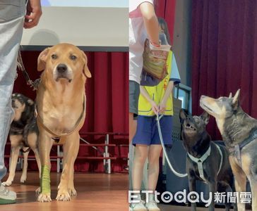 竹女新生訓練花30分鐘「介紹校狗」　每隻上台表演吃零食