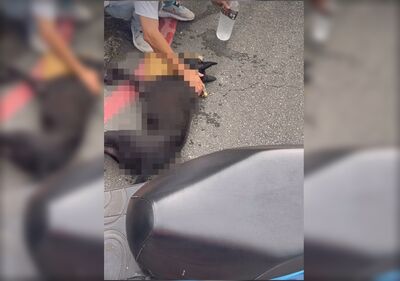 南港小黑狗遭人「騎車拖行300公尺」亡　沿途留下排泄物跟鮮血