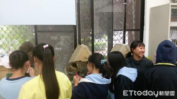 竹女校犬。（圖／粉專竹女校狗 Happy提供）