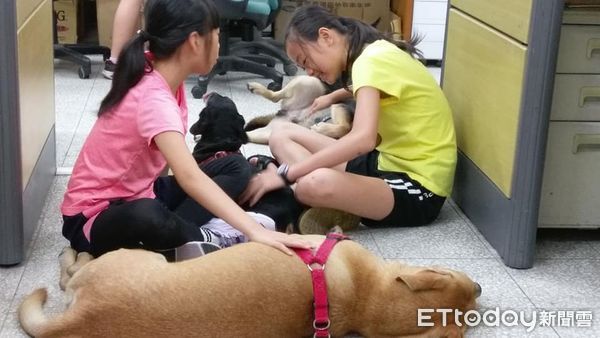 竹女校犬。（圖／粉專竹女校狗 Happy提供）