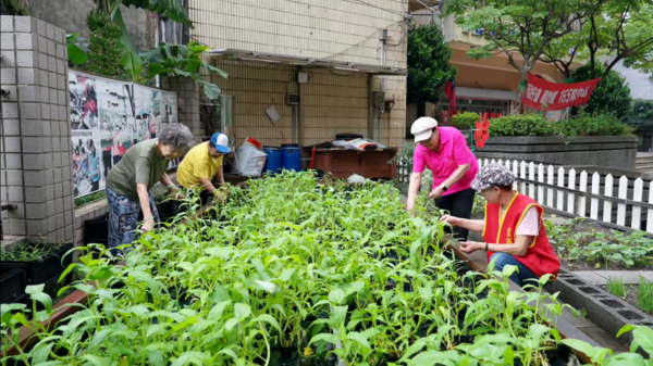 ▲新北表揚147位環保英雄 青年力量成新亮點。（圖／新北市環保局提供）
