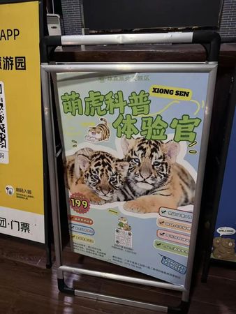 ▲▼陸女童「摸小老虎」遭咬傷　母怒報警。（圖／翻攝極目新聞）