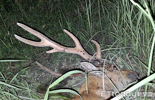 ▲。（圖／高雄市馬頭山自然人文協會提供）