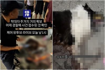 狠心飼主！牧羊犬綁電動車「拖著跑30分鐘」　口吐白沫被溜到死