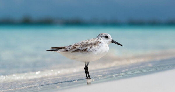 （示意圖／pixabay）