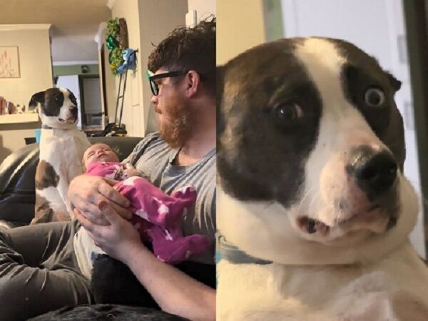 ▲。（圖／翻攝自Tiktok／@snufflesmichelle）