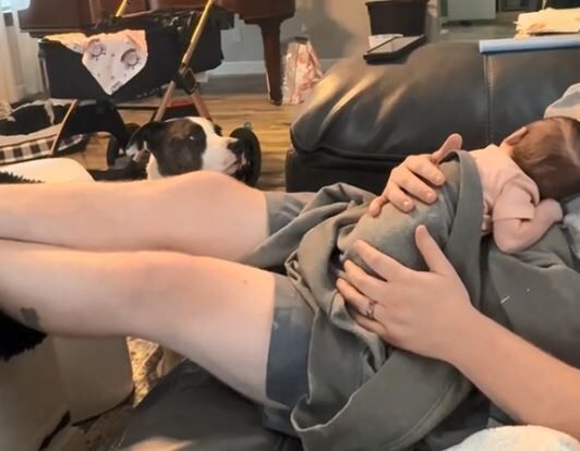 ▲。（圖／翻攝自Tiktok／@snufflesmichelle）