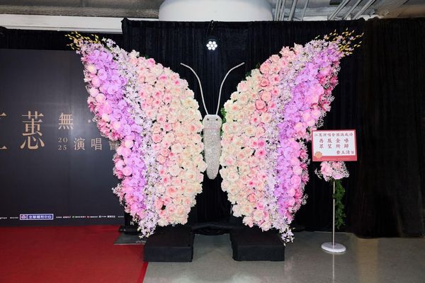 ▲▼費玉清送的蝴蝶花禮又換裝。（圖／寬宏提供）
