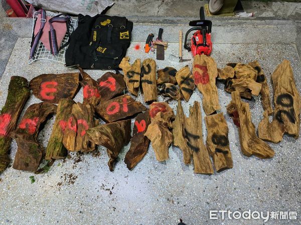 ▲桃園大溪警方擺烏龍攔錯民車，保七森林警察捉對人，查獲2人和94KG肖楠木。（圖／記者楊永盛翻攝）