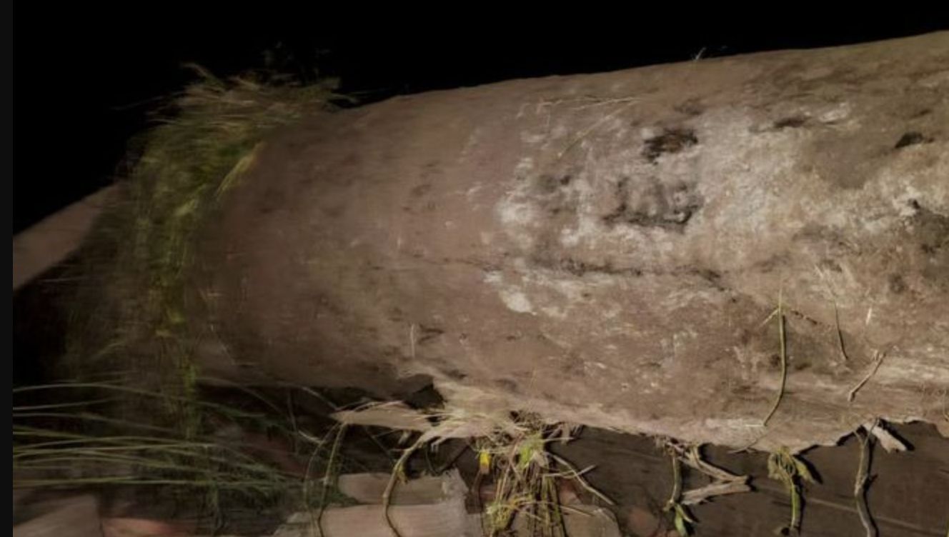 ▲工人整地挖出疑似珍貴烏木欲運走遭村民攔截。（圖／翻攝紅星新聞）