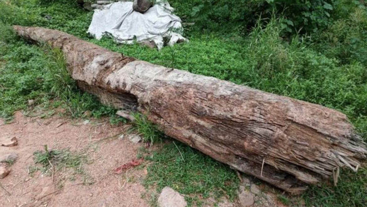 ▲工人整地挖出疑似珍貴烏木欲運走遭村民攔截。（圖／翻攝紅星新聞）