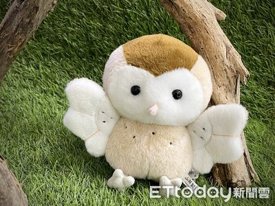 屏東限定！捐血1袋換草鴞玩偶　捐2袋直接「一網打盡」保育萌獸