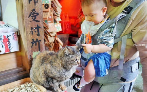 ▲▼如意輪寺（青蛙神社）。（圖／部落客mika授權提供）