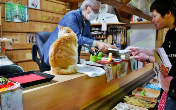 ▲▼如意輪寺（青蛙神社）。（圖／部落客mika授權提供）