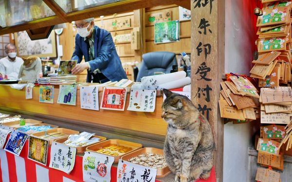▲▼如意輪寺（青蛙神社）。（圖／部落客mika授權提供）