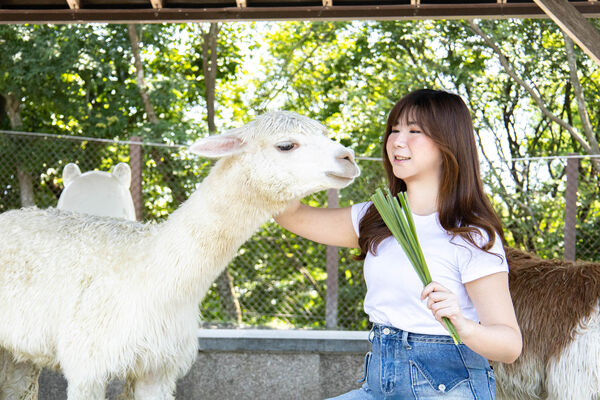 ▲▼宜蘭綠舞。（圖／業者提供）