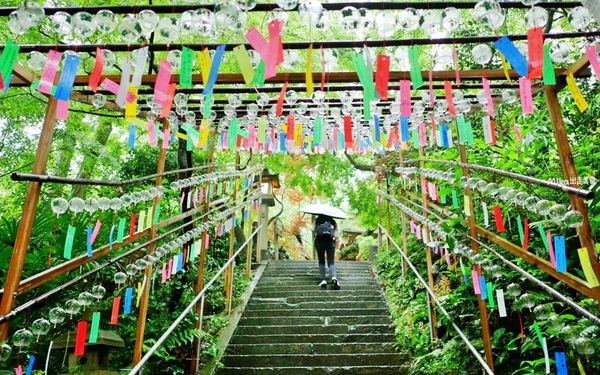 ▲▼如意輪寺（青蛙神社）。（圖／部落客mika授權提供）
