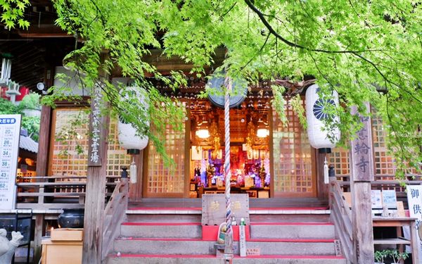 ▲▼如意輪寺（青蛙神社）。（圖／部落客mika授權提供）