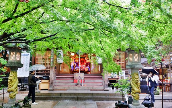 ▲▼如意輪寺（青蛙神社）。（圖／部落客mika授權提供）