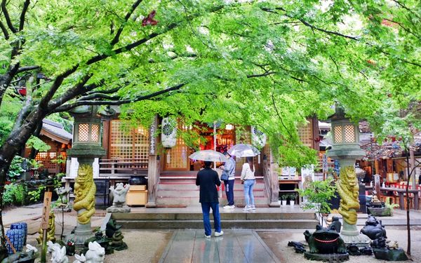 ▲▼如意輪寺（青蛙神社）。（圖／部落客mika授權提供）