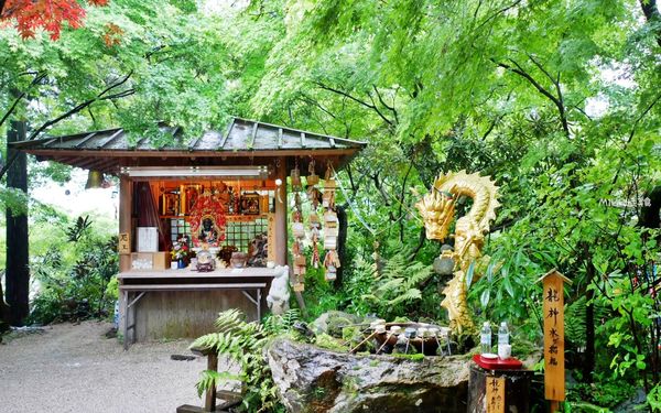 ▲▼如意輪寺（青蛙神社）。（圖／部落客mika授權提供）