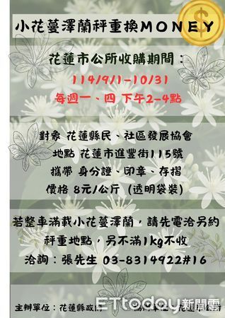 ▲▼小花蔓澤蘭收購時間、價錢、地點與相關注意事項。（圖／花蓮市公所提供，下同）