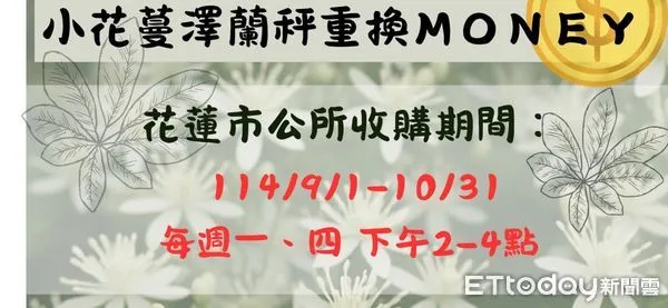 ▲▼小花蔓澤蘭收購時間、價錢、地點與相關注意事項。（圖／花蓮市公所提供，下同）